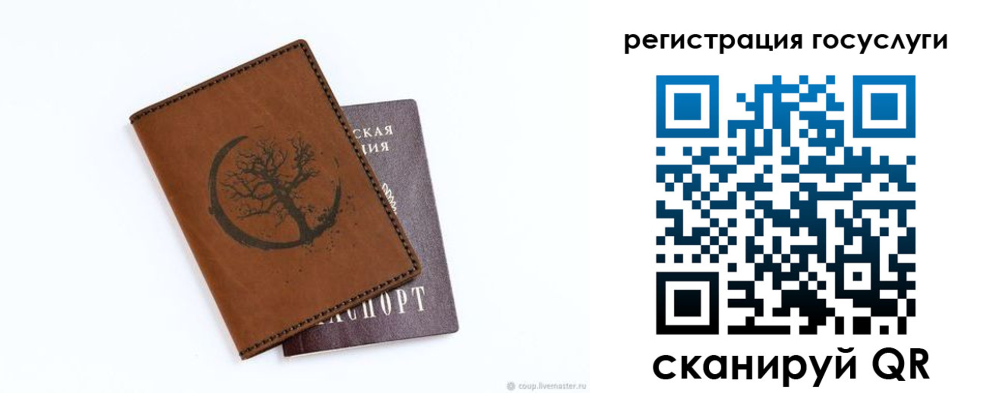 прописка регистрация в Камышине